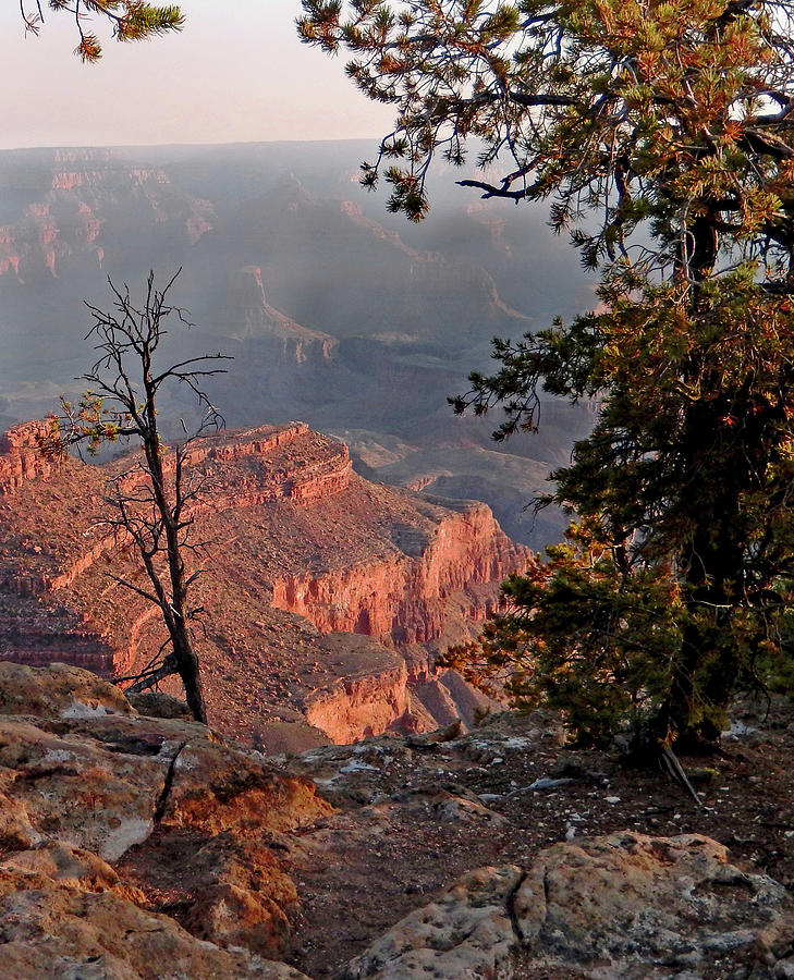Sentinels To History At The Grand Canyon Photograph