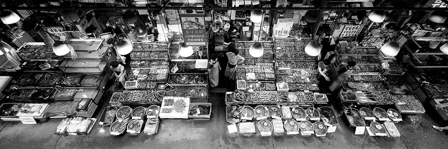 Seoul Fish market south korea black and white Photograph by Sonny Ryse
