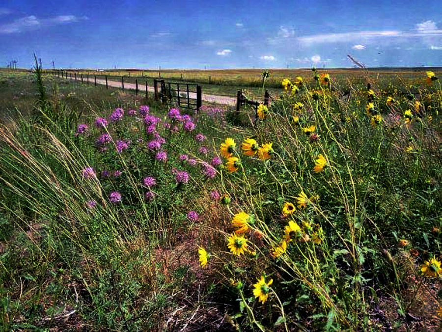 Separating the Counties Photograph by Catherine Shull - Fine Art America