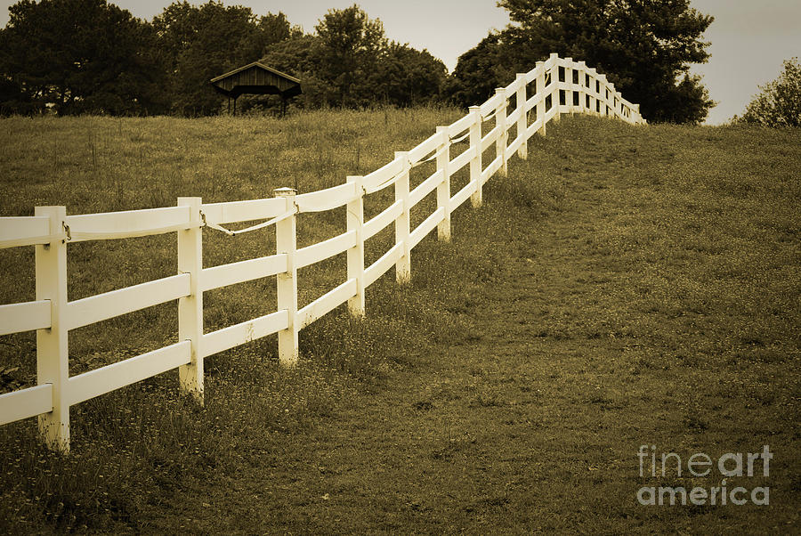 Sepia Aged Fences 2 Rural Landscape Photograph Photograph by PIPA Fine Art - Simply Solid