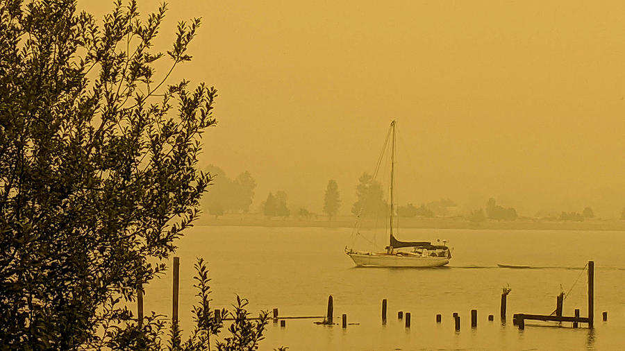 Sepia by Nature Photograph by Peggy McCormick