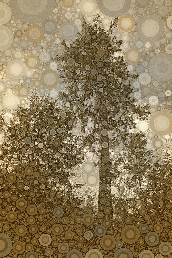 Sepia Circle Trees Digital Art by Peggy Collins