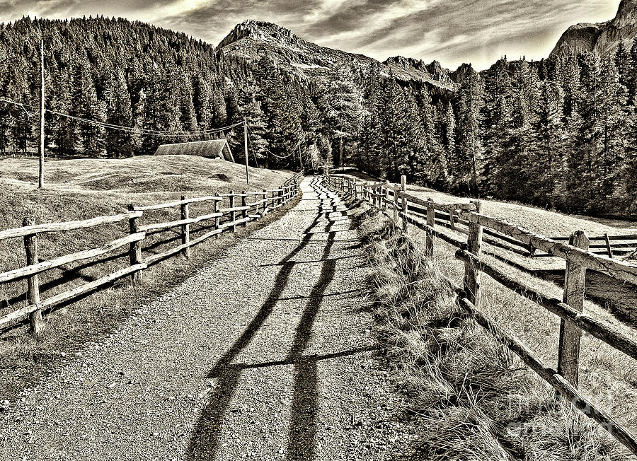 Sepia graphical road to the mountains, Dolomites Italy Photograph by Tatiana Bogracheva