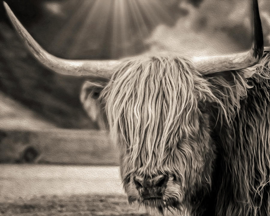 Sepia Highland Photograph by Bryson Gallery - Pixels