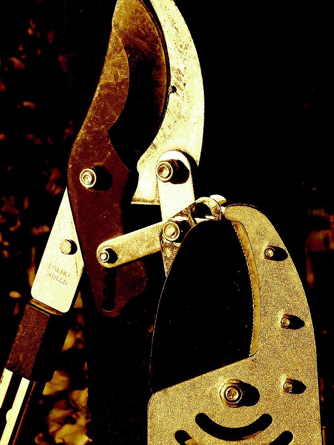 Tool Photograph - Sepia Loppers by Bonnie See