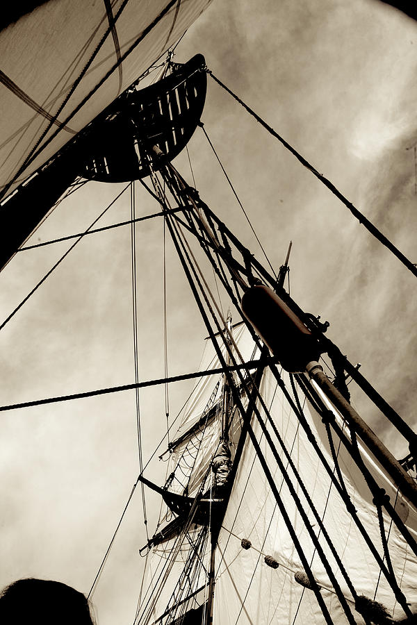 Sepia Rigging Photograph by Tammy Hankins