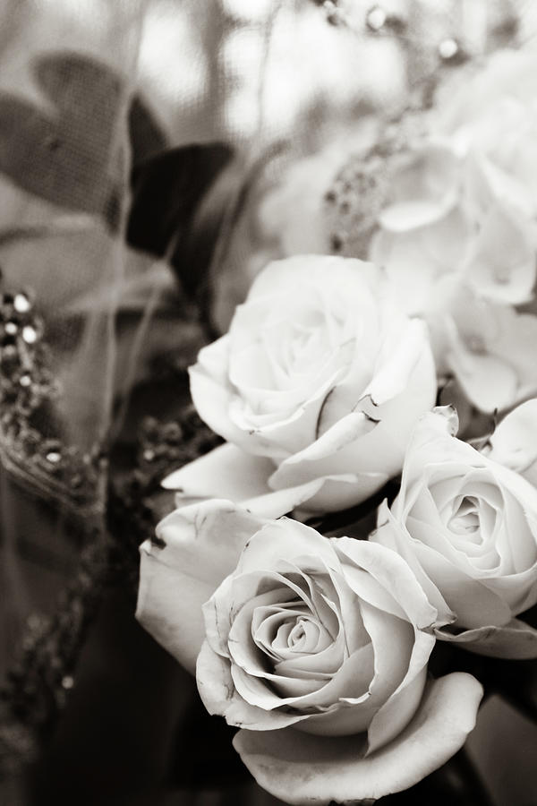 Sepia Roses and Lace Photograph by W Craig Photography