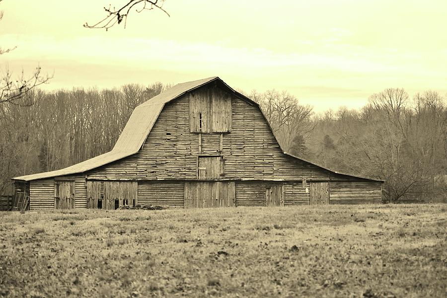 Sepia Tone Of Old Barn Photograph by Cynthia Guinn