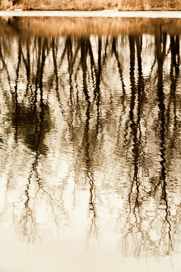 Sepia toned liquid abstract  Photograph by Sven Brogren