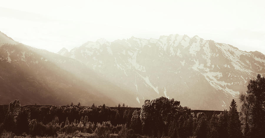 Sepia Toned Morning Light In Grand Tetons Photograph by Dan Sproul