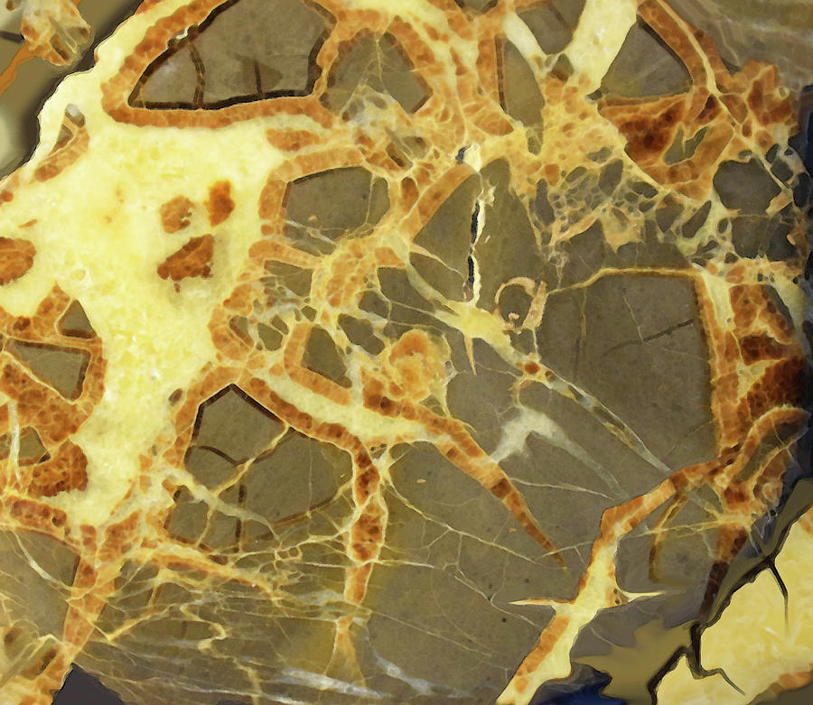 Septarian Marble Photograph by Donald Presnell
