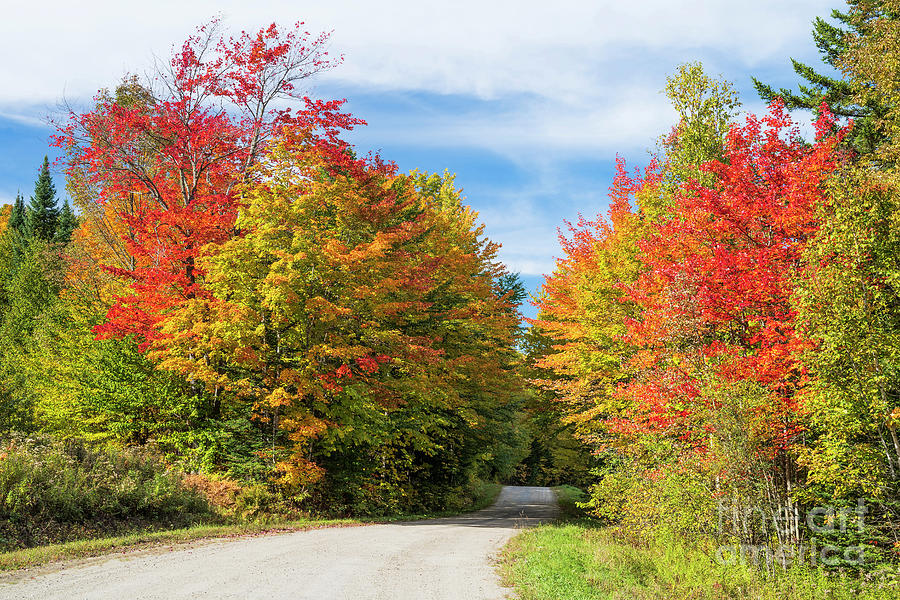 September Back Road Color Photograph by Alan L Graham
