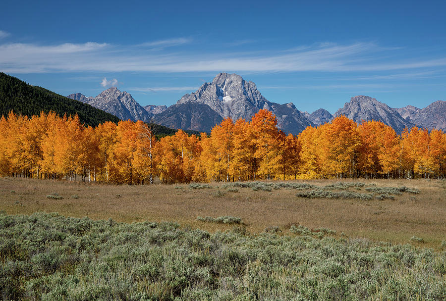 September Colors In Grand Tetons Photograph by Dan Sproul
