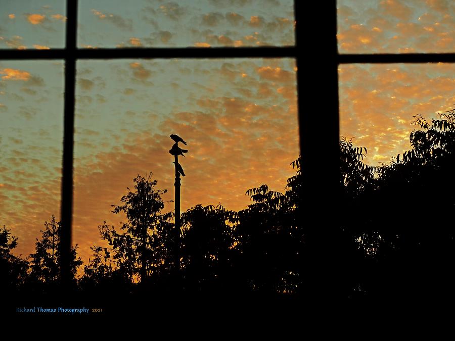 September Dawn 2021 2P9120015 Photograph by Richard Thomas