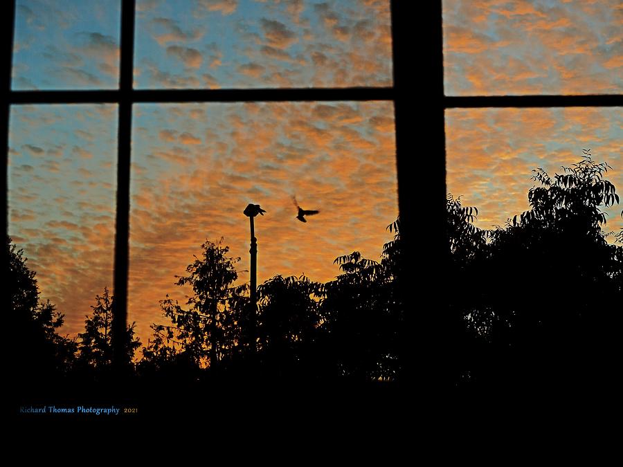 September Dawn 2021 5P9120009 Photograph by Richard Thomas