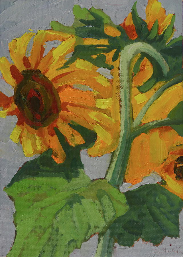September Early Afternoon Sunflowers Painting by Phil Chadwick