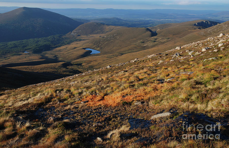 September in the Cairngorm Mountains Photograph by Phil Banks
