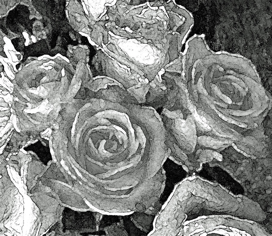 September Roses bw Photograph by Corinne Carroll