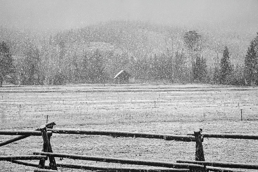 September Snowfall Photograph by Donna Kennedy