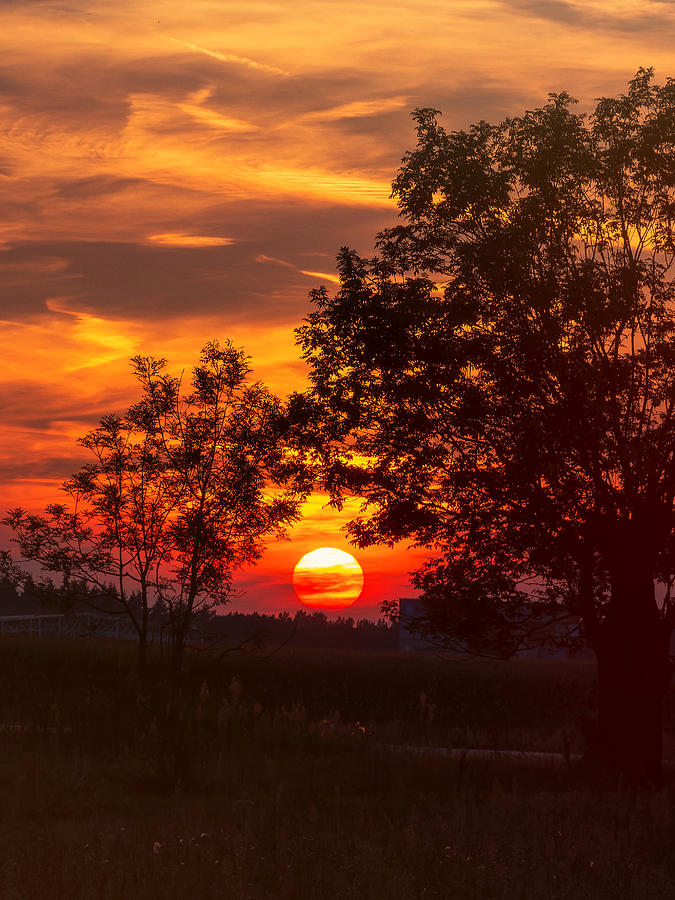 September Sun 3 Photograph by Jaroslav Buna