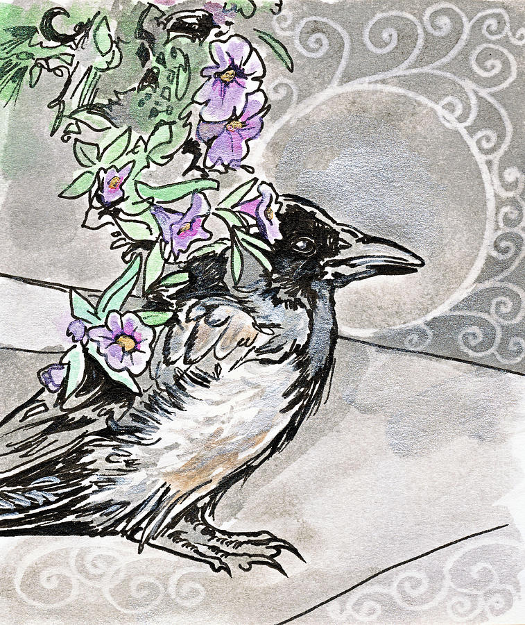 Septembird 9 Hooded Crow Drawing by Katherine Nutt