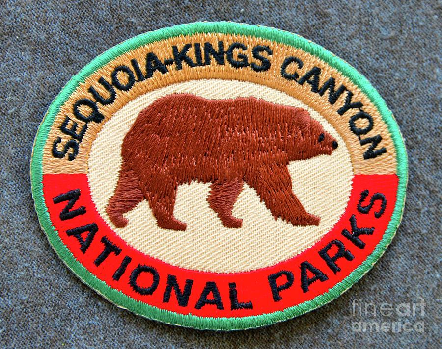 Sequoia Kings Canyon N.P. brown bear patch Photograph by David Lee ...