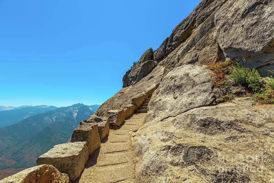 Sequoia Moro Rock trail stairway Photograph by Benny Marty