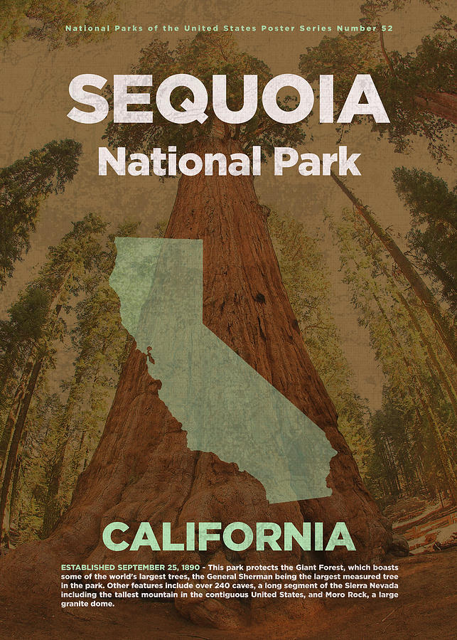 National Parks Mixed Media - Sequoia National Park in California Travel Poster Series of National Parks Number 52 by Design Turnpike