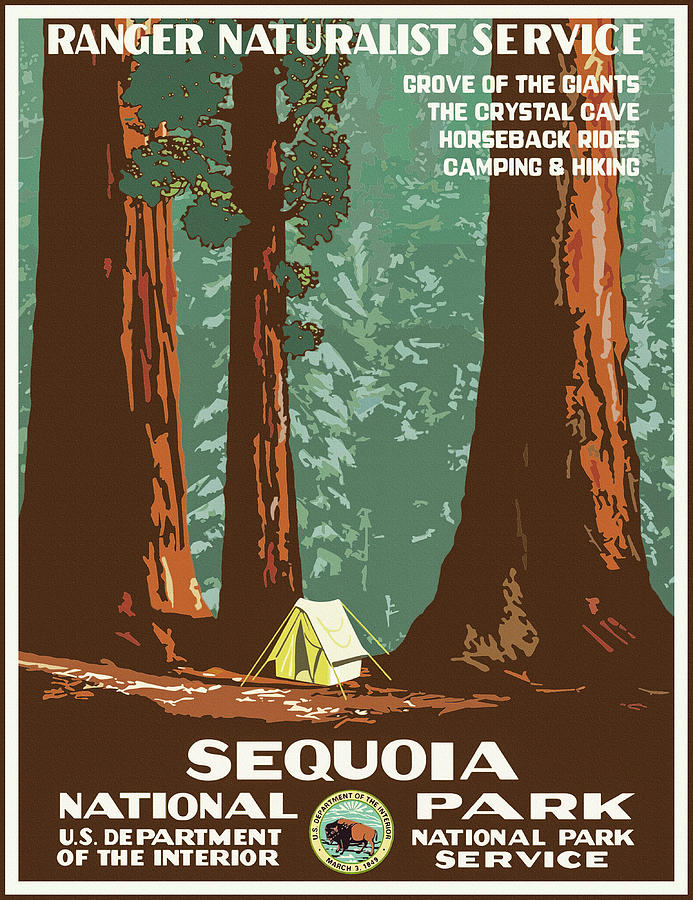 Vintage Photograph - Sequoia National Park Retro Vintage Travel  by Carol Japp