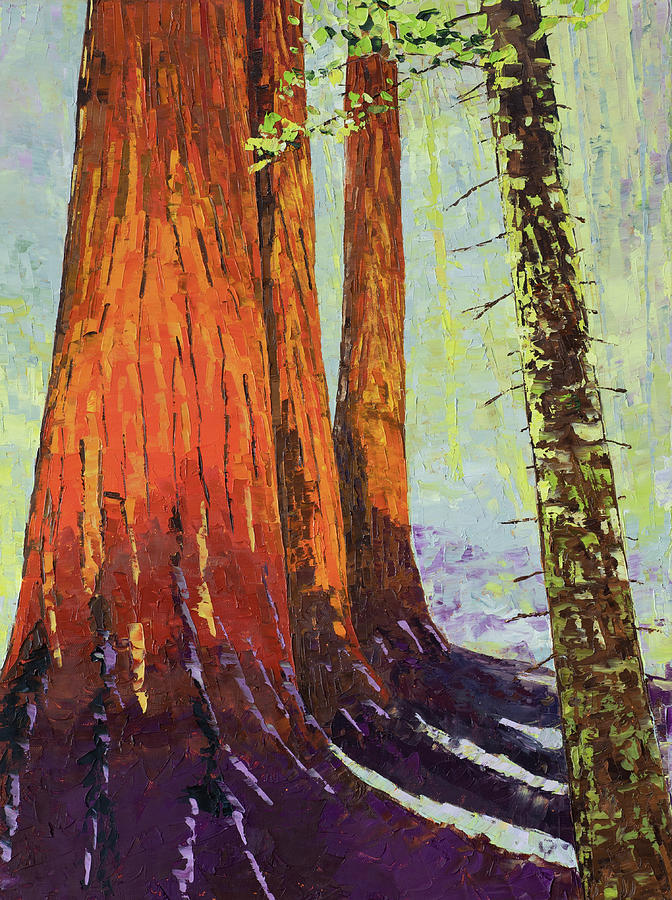 Sequoia Trio Painting by Mark Ross