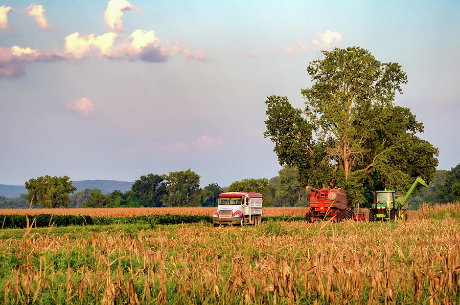 Sequoyah Harvest Photograph by James Barber