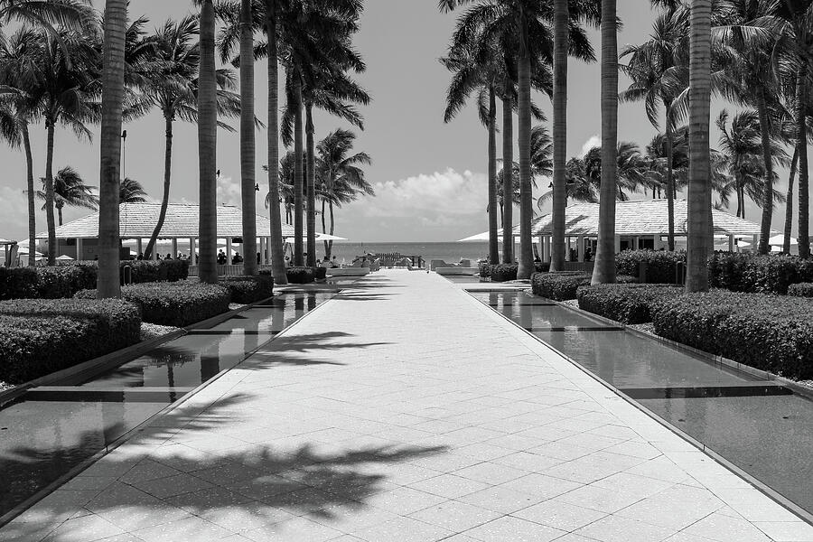 Serenade of Monochrome Splendor - Stone Pathway at Key Wests Oceanfront Resort during Summer Photograph by Brigitte Blanchette Thompson Serenade of Monochrome Splendor - Stone Pathway at Key Wests Oceanfront Resort during Summer Photograph by Brigitte Blanchette Thompson