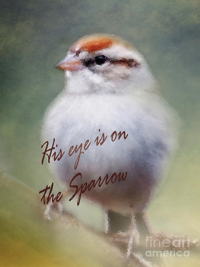 Serendipitous Sparrow - Phrase Digital Art by Anita Faye