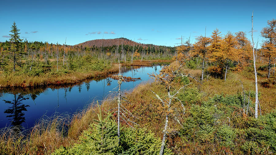 Serene Adirondack Stream Photograph