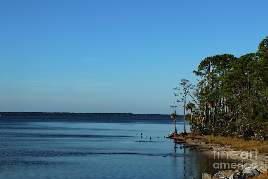 Nature Photograph - Serene Carrabelle Bay  by Christiane Schulze Art And Photography
