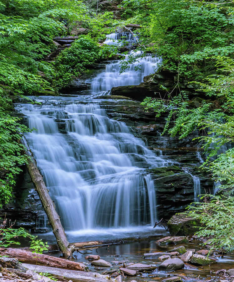 Serene Falls Photograph by Ricky Batista - Fine Art America