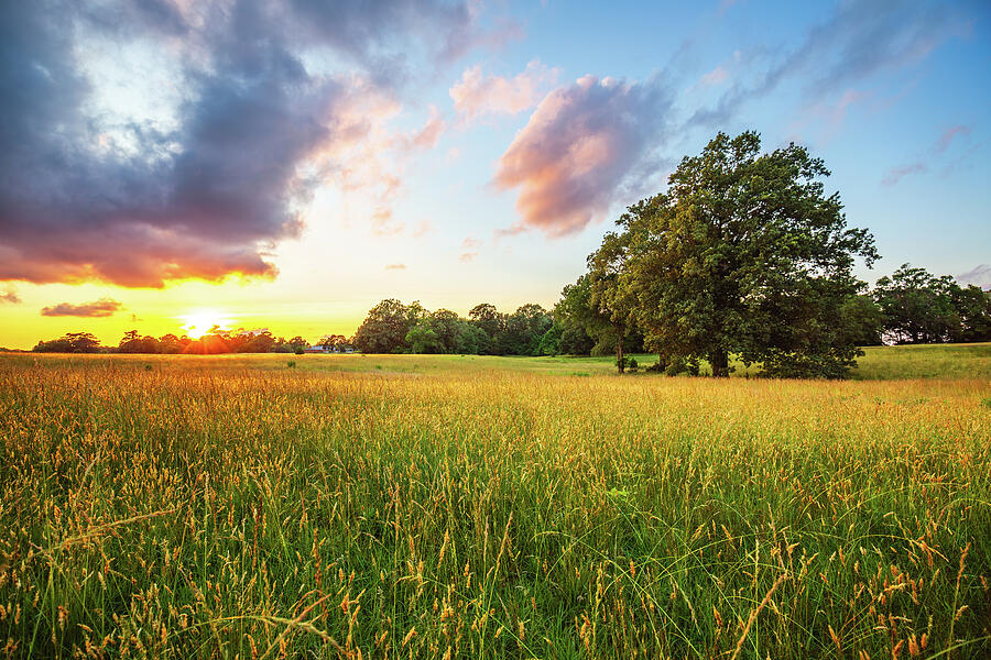 Serene Glow at Yorktown Battlefield Photograph by Rachel Morrison Serene Glow at Yorktown Battlefield Photograph by Rachel Morrison