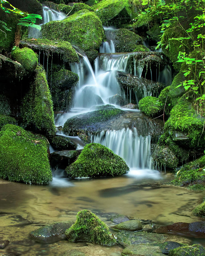 Serene Mountain Waterfall Photograph by Beverly Buchinger - Fine Art ...