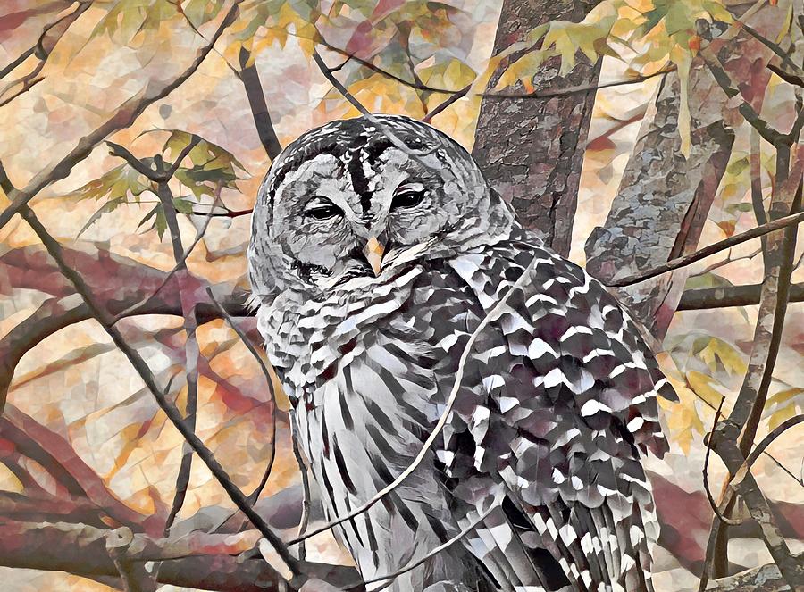 Owl Digital Art - Serene Owl in Autumn by Carmen Macuga