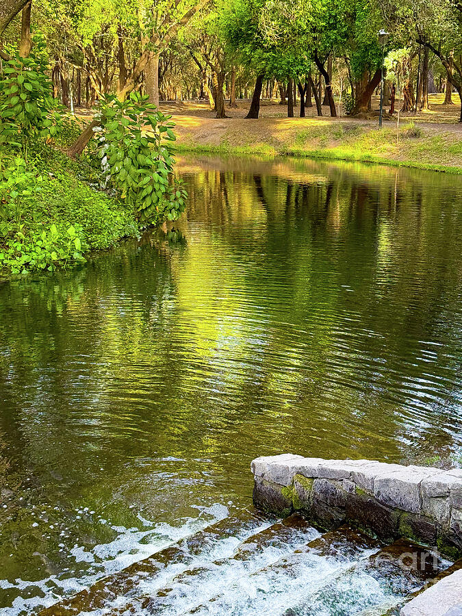 Serene Pond Photograph by Leslie Brashear Serene Pond Photograph by Leslie Brashear