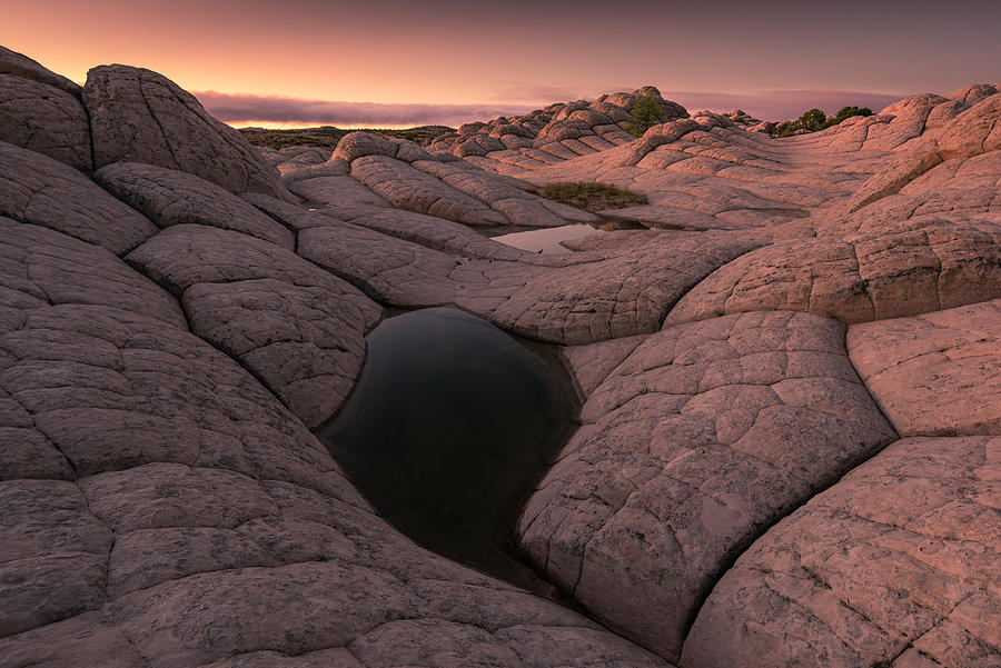 Serene Pool Photograph by Peter Boehringer