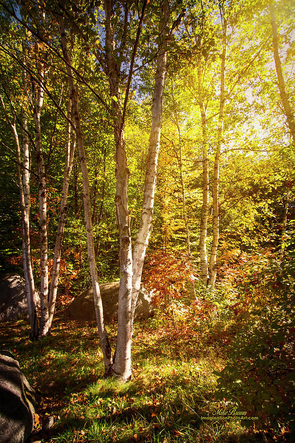 Serene Photograph - Serene Scene Vermont by Mike Braun Serene Photograph - Serene Scene Vermont by Mike Braun