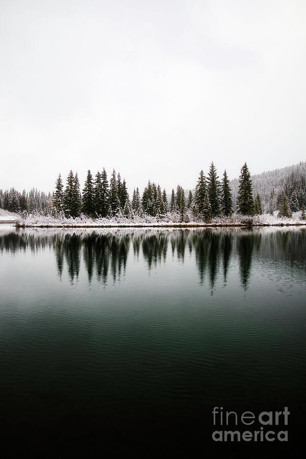 Serene Snowy Forest Reflection Photograph - Serene Snowy Forest Reflection by Thomas Nay