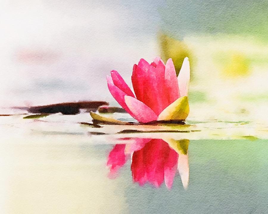 Serene Water Lily Watercolor Mixed Media by Susan Rydberg
