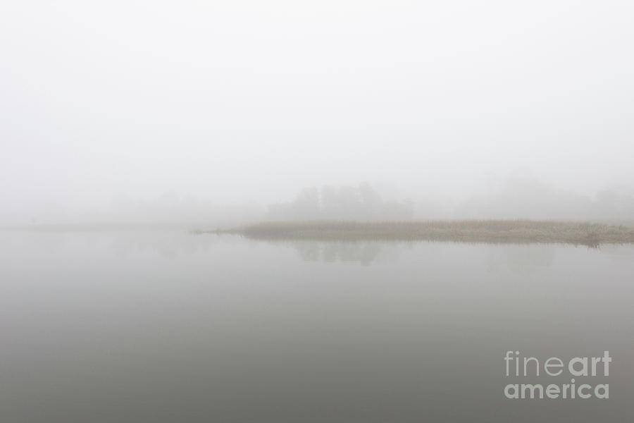 Serene Winter Fog - Charleston Photograph