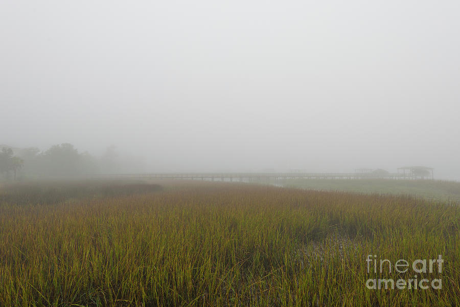 Serene Winter Marsh Grass - Heavy Fog Photograph