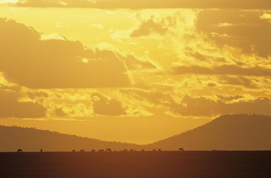 Serengeti, The Endless Plain, sunset, Tanzania, Africa Photograph by Tom Brakefield