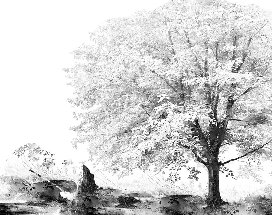 Serenity Photograph by Ali Bailey Serenity Photograph by Ali Bailey