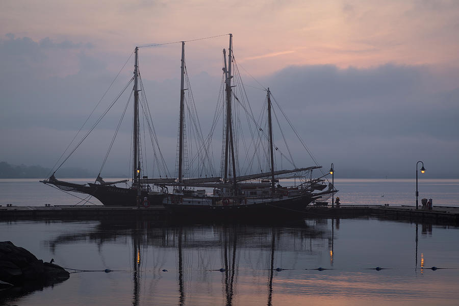 Serenity and Alliance at Dawn Photograph by Rachel Morrison