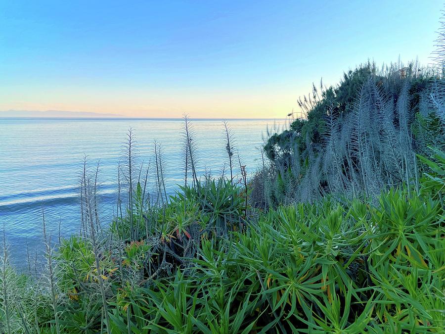 Serenity Photograph - Serenity by Christina Ford Serenity Photograph - Serenity by Christina Ford